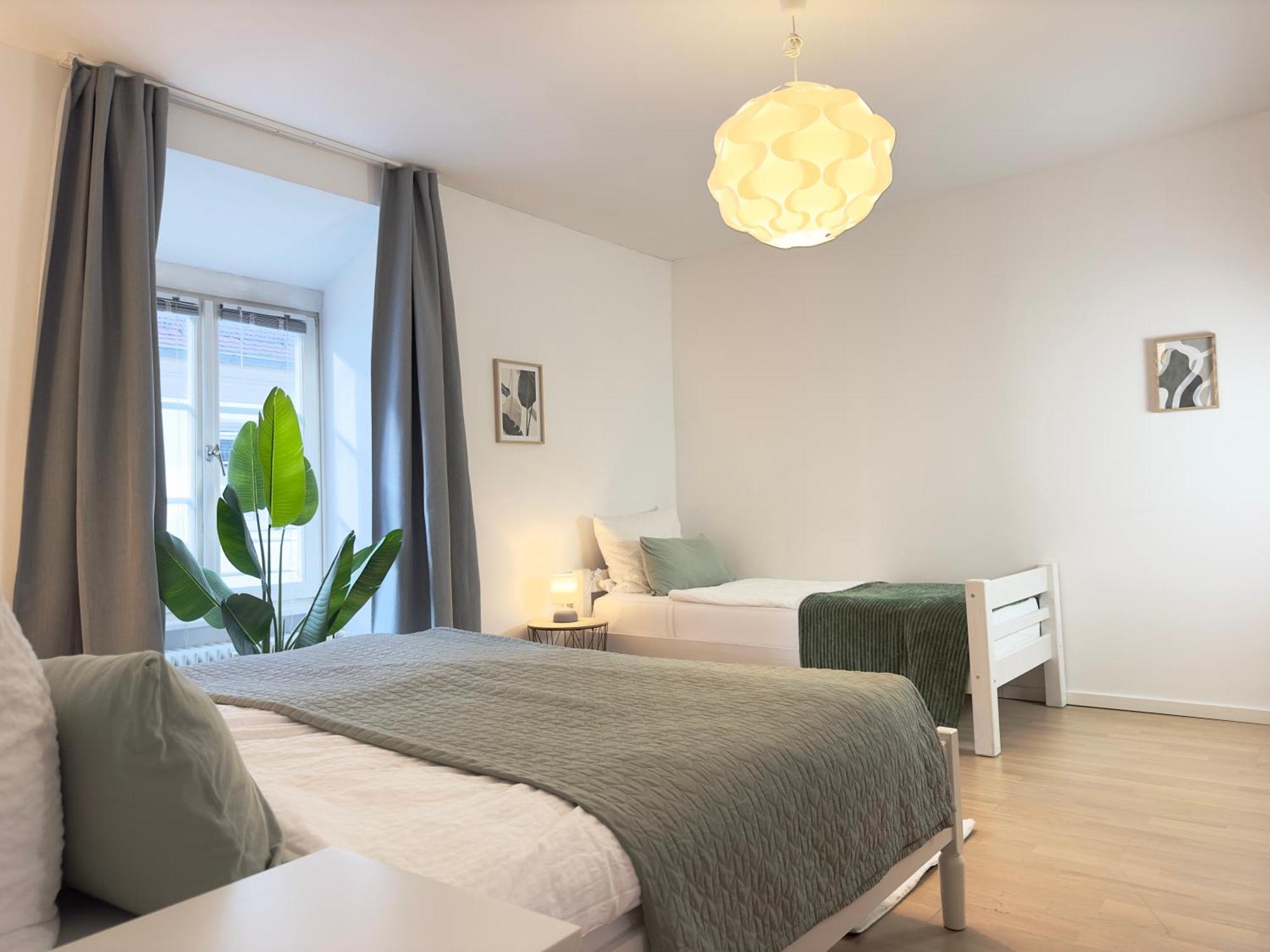 Luxury Old Town Suite - Xxl Terrasse & Xxl Penthouse Heidelberg Exterior foto