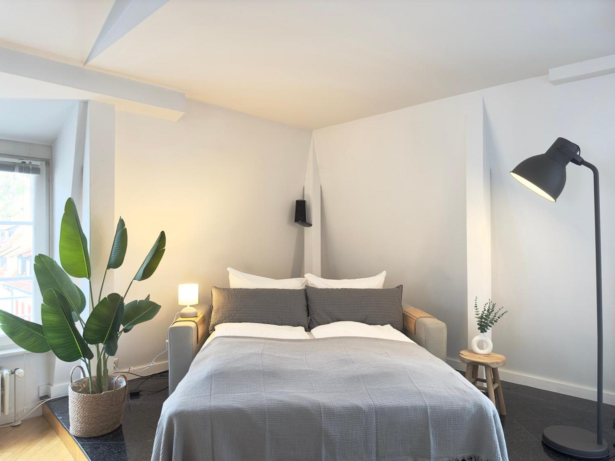 Luxury Old Town Suite - Xxl Terrasse & Xxl Penthouse Heidelberg Exterior foto